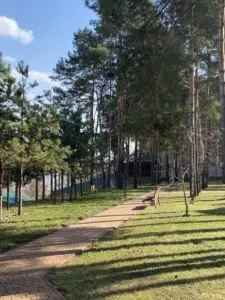 Чому болить голова у скронях?