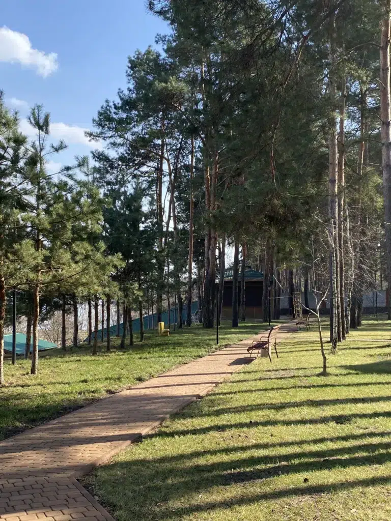 Чому болить голова у скронях?