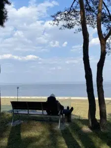 Номер психлікарні в Києві