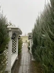 Хронічне обструктивне захворювання легень