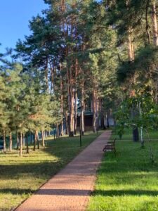 Реабілітація після перелому у літньому віці