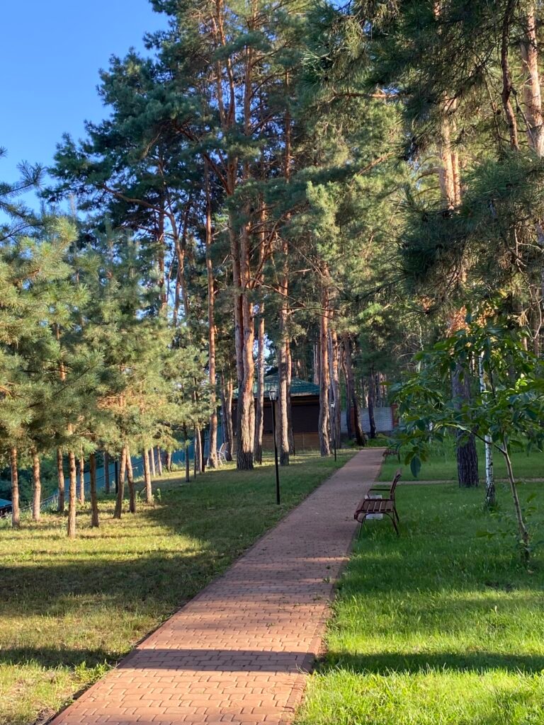 Реабілітація після перелому у літньому віці