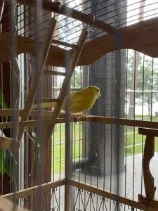 Детальний розбір формули розрахунку пенсії в Україні