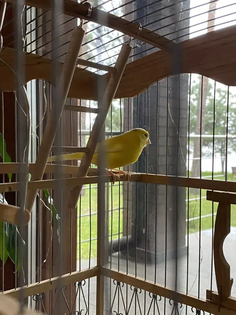 Детальний розбір формули розрахунку пенсії в Україні