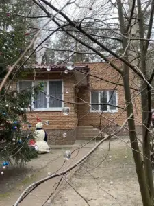 Деменція це